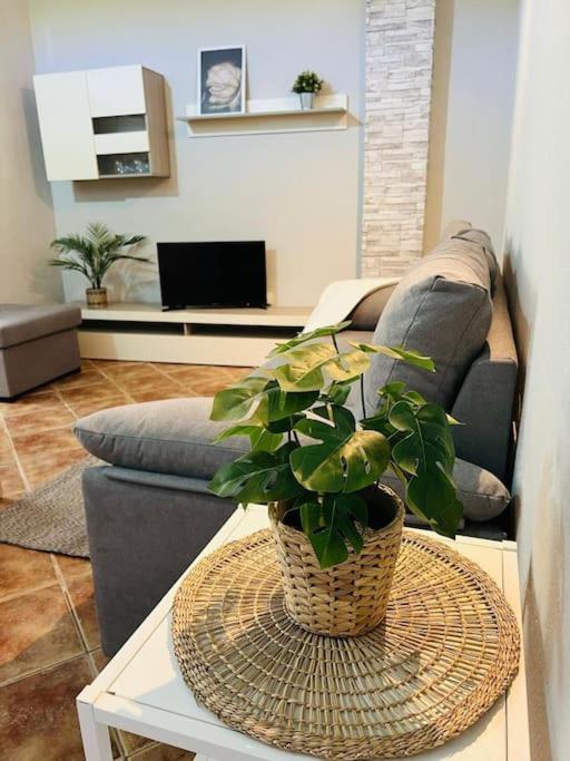 Casa El Pino B Apartment Vera de Erque Екстериор снимка